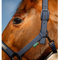 Licol et longe Amigo Horseware Marine Bleu marine