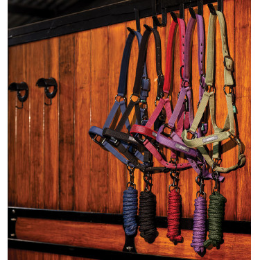 Licol et longe Amigo Horseware Licol et longe Amigo Horseware