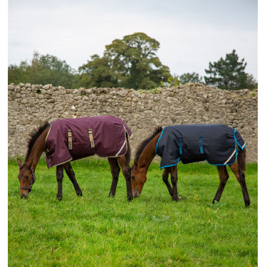 Couverture poulain Horseware Amigo Ripstop Foal 50g Couverture poulain Horseware Amigo Ripstop Foal 50g