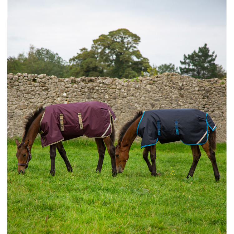 Couverture poulain Horseware Amigo Ripstop Foal 50g Couverture poulain Horseware Amigo Ripstop Foal 50g