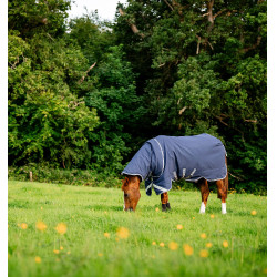 Couverture Horseware Rhino Plus Vari-Layer 250g Noir / gris titane / bleu classique