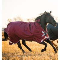 Couverture d'extérieur Horseware Rambo Wug 50g Bordeaux / marine Couverture d'extérieur Horseware Rambo Wug 50g Bordeaux / marine