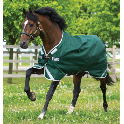 Couverture Horseware Rambo Original 0g avec Leg Arches Vert / argent