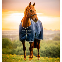 Couverture Horseware Amigo Ripstop 900D Poney Turnout 100g Marine witney Bleu marine