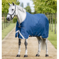 Couverture Horseware Ionic Therapy Turnout 100g