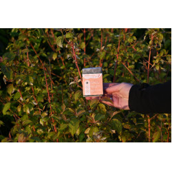 Wash Daily Happy Scoop Wash Daily Happy Scoop