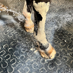 Pâte d'Argile Hydra Marine Nutragile