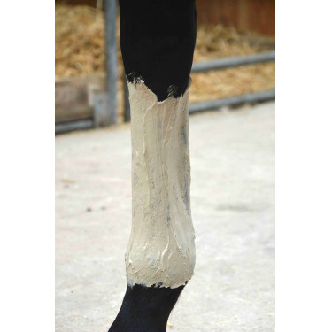 Pâte d'Argile Soulage Douleur Coup Contusion Nutragile Pâte d'Argile Soulage Douleur Coup Contusion Nutragile
