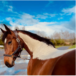 Pâte d'Argile Détox Relaxante Nutragile