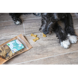 Crispy Digest Happy Scoop Crispy Digest Happy Scoop