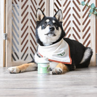 Worless Happy Scoop Worless Happy Scoop