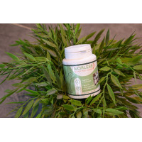 Worless Happy Scoop Worless Happy Scoop