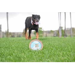 Moov Happy Scoop Moov Happy Scoop