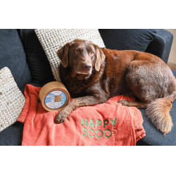 Moov Happy Scoop Moov Happy Scoop