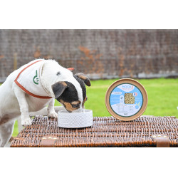 Moov Happy Scoop Moov Happy Scoop