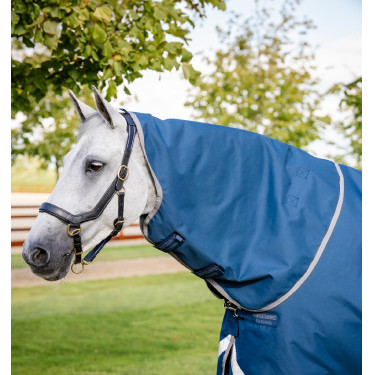 Couvre-cou Horseware Ionic Therapy Turnout 0g Couvre-cou Horseware Ionic Therapy Turnout 0g