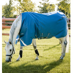 Couverture Horseware Ionic Therapy Turnout 100g Bleu imperial / argent / marine