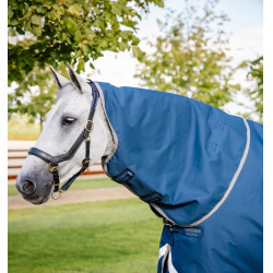 Couverture Horseware Ionic Therapy Turnout 100g Bleu imperial / argent / marine