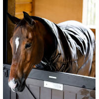 Couverture d'écurie Horseware Amigo Ripstop Insulator Plus 200g Noir / noir / argent Couverture d'écurie Horseware Amigo Ripstop Insulator Plus 200g Noir / noir / argent