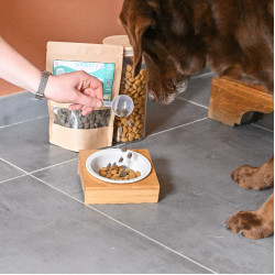 Digest Happy Scoop Digest Happy Scoop