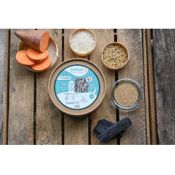 Digest Happy Scoop Digest Happy Scoop