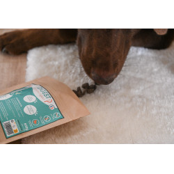 Digest Happy Scoop Digest Happy Scoop