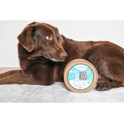 Digest Happy Scoop Digest Happy Scoop