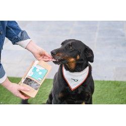 Digest Happy Scoop Digest Happy Scoop