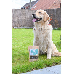 Digest Happy Scoop Digest Happy Scoop