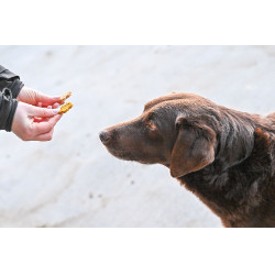 Natural'Crackers Digest Natural'Innov Natural'Crackers Digest Natural'Innov