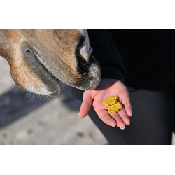 Natural'Crackers Digest Natural'Innov Natural'Crackers Digest Natural'Innov