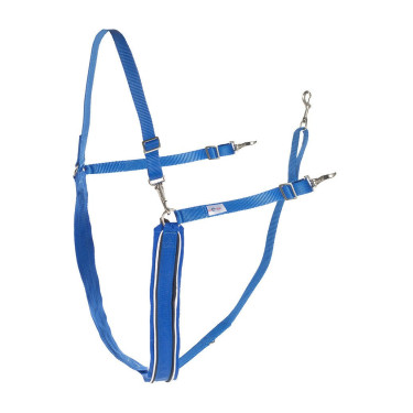 Large Y-bricole Finn-Tack synthétique avec passepoil Bleu / blanc