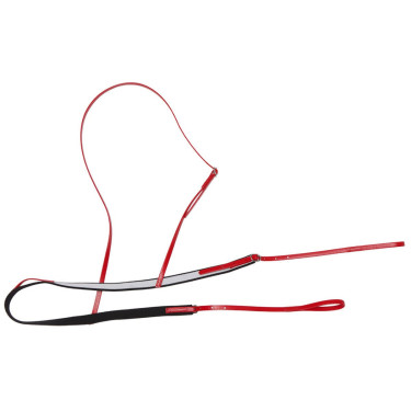 Collier de course Race Zilco poids plume Collier de course Race Zilco poids plume