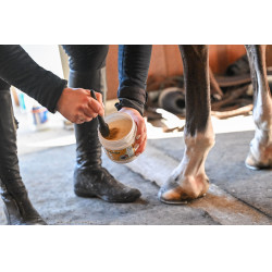 Natural'Coat Noir Natural'Innov Natural'Coat Noir Natural'Innov