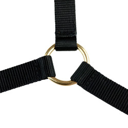 Licol Yankee Finn-Tack Pro nylon avec muserolle ouverte Noir
