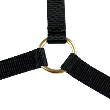 Licol Yankee Finn-Tack Pro nylon avec muserolle ouverte Noir
