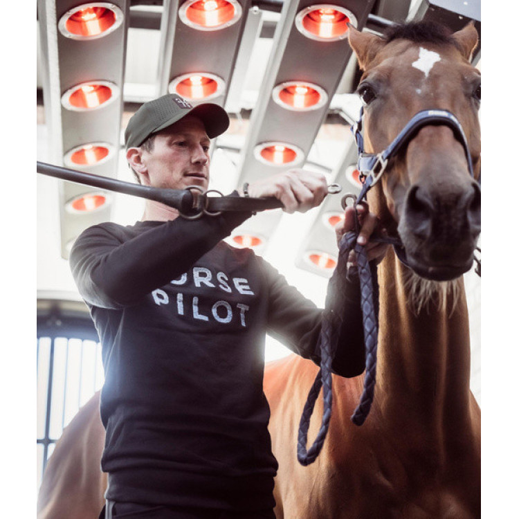 Sweat-shirt Horse Pilot Team homme Sweat-shirt Horse Pilot Team homme