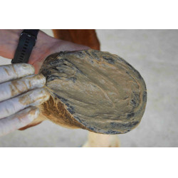 Magic Pieds Nutragile