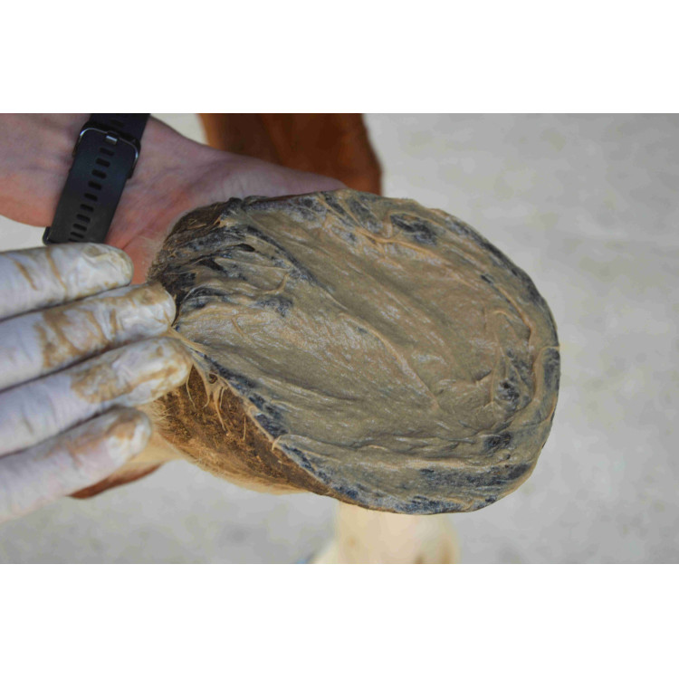 Magic Pieds Nutragile Magic Pieds Nutragile