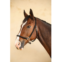 Licol Hups Harcour Noir