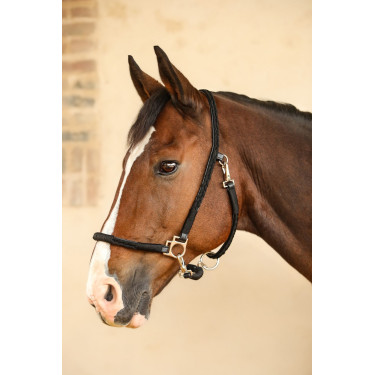 Licol Hups Harcour Noir