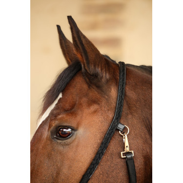 Licol Hups Harcour Noir