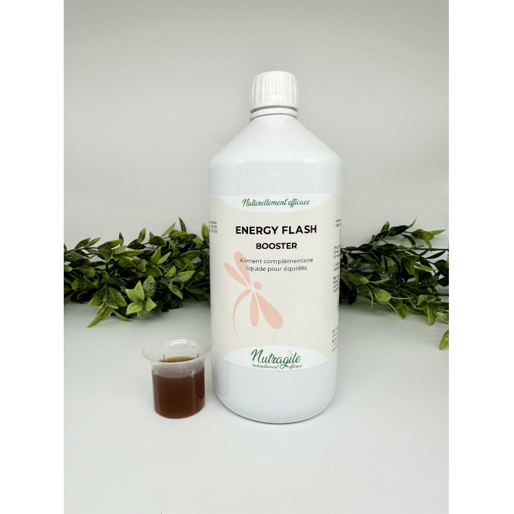 Nutragile Energy Flash-Booster Nutragile Energy Flash-Booster