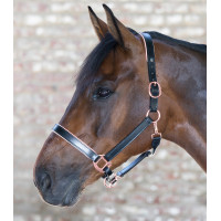 Licol cuir Rosé Waldhausen X-Line Noir