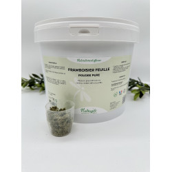 Framboisier Nutragile Framboisier Nutragile