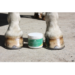 Onguent sabot sec seau Ekin