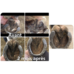 Spray traitant pourriture sole et fourchette Ekin