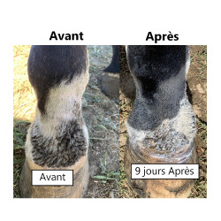 Onguent anti-crevasse du paturon Ekin Onguent anti-crevasse du paturon Ekin