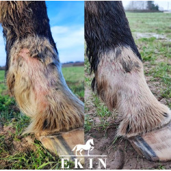 Onguent anti-crevasse du paturon Ekin Onguent anti-crevasse du paturon Ekin