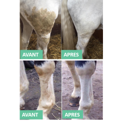 Détachant robe et crin Ekin Détachant robe et crin Ekin